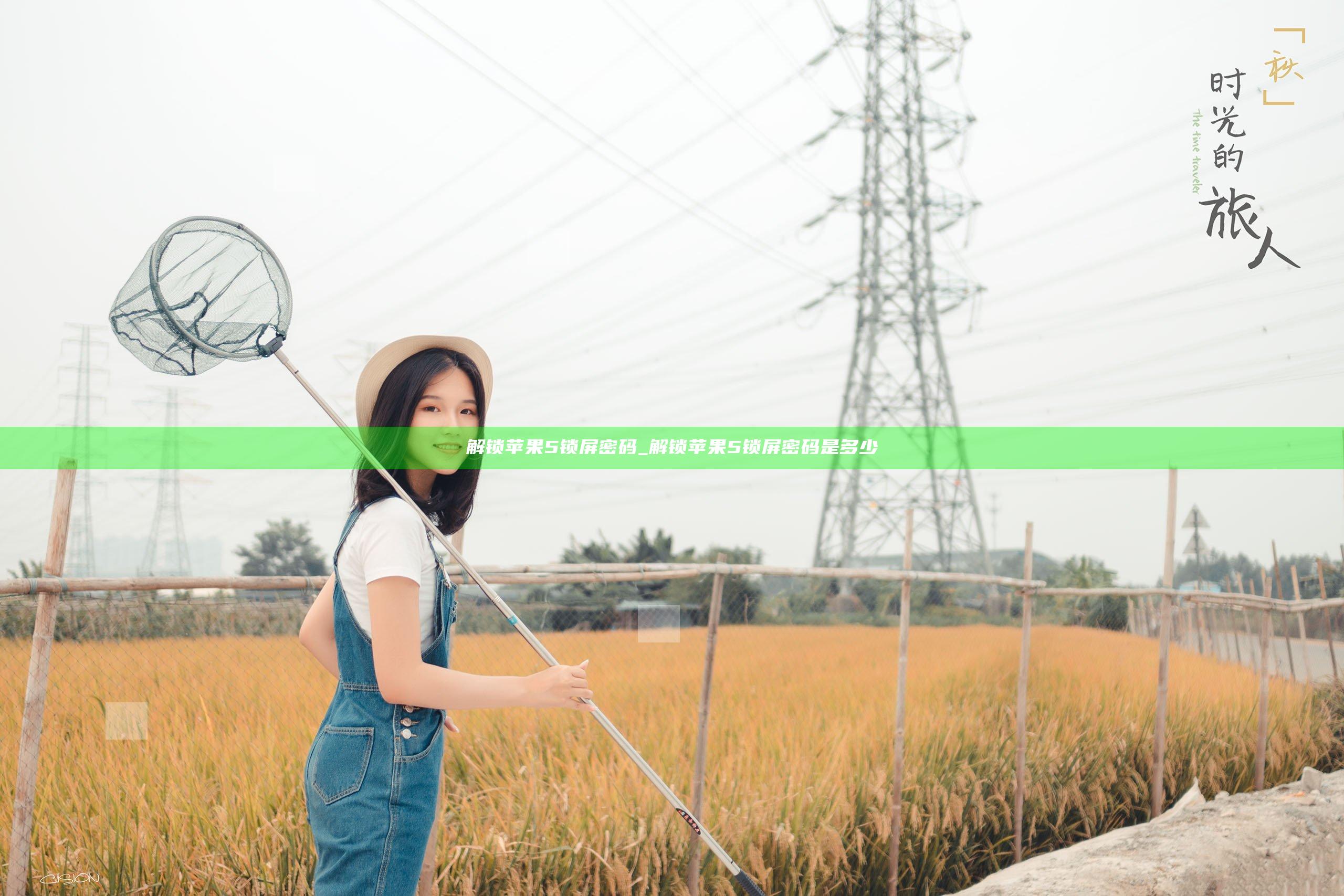 解锁苹果5锁屏密码_解锁苹果5锁屏密码是多少